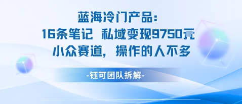 蓝海项目：16条笔记私域变现9750米小众赛道操作的人不多-小宇资源站