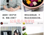 京东视频带货项目分享,发视频就能操作赚钱-小宇资源站
