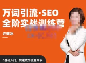 许茹冰·万词引流-SEO全阶实战训练营，0基础入门，快速成为流量高手-小宇资源站