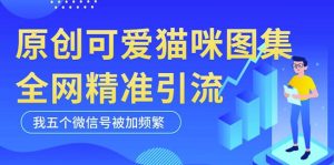 黑科技纯原创可爱猫咪图片,全网精准引流,实操5个VX号被加频繁-小宇资源站