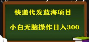 2023最新蓝海快递代发项目,小白零成本照抄也能日入300+-小宇资源站