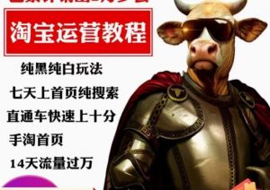 猫老师·淘系算法逆向解密,纯黑纯白玩法,七天上首页纯搜索,手淘首页14天流量过万-小宇资源站
