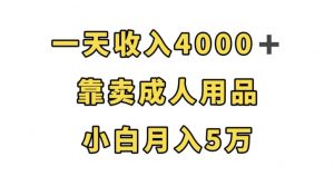 一天收入4000+,靠卖成人用品,小白轻松月入5万【揭秘】-小宇资源站