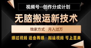 视频号无脑搬运新技术,破原创壕流量,独家方式,爆过视频,还会再爆【揭秘】-小宇资源站