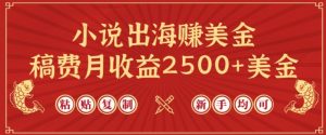 小说出海赚美金,稿费月收益2500+美金,仅需chatgpt粘贴复制,新手也能玩转【揭秘】-小宇资源站