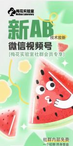 梅花实验室2024年AB技术视频号AB合成破解版-小宇资源站