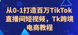 从0-1打造百万TikTok直播间短视频,Tk跨境电商教程-小宇资源站