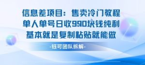 信息差项目：售卖冷门教程单人单号日收9张纯利基本就是复制粘贴就能做-小宇资源站