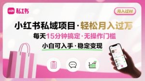 小红书私域项目 月入过W非常轻松 每天15分钟即可搞定，无任何操作门槛，小白可入手-小宇资源站