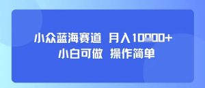 小众蓝海赛道，小白可做，操作简单，每天30分钟，月入1W+-小宇资源站