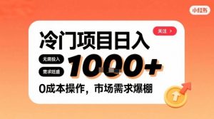 在小红书上发现个冷门路子，需求不小，零成本操作，每天能有1k进账-小宇资源站
