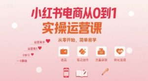 小红书电商从0到1实操运营课，从零开始，简单易学-小宇资源站