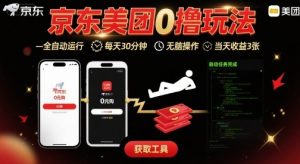 京东美团平台最新0撸玩法，全自动挂G，每天30分钟，无脑操作，当天收益3张【揭秘】-小宇资源站