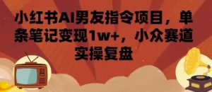 小红书AI男友指令项目，单条笔记变现1w+，小众赛道实操复盘-小宇资源站