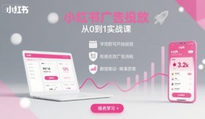 小红书广告投放从0到1的实战课,学完即可开始投放,拒绝无效广告消耗-小宇资源站