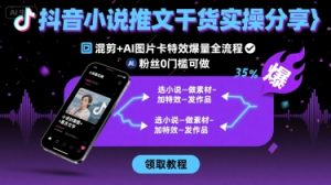 抖音小说推文干货实操分享，混剪+AI图片卡特效爆量全流程，0粉丝0门槛可做-小宇资源站