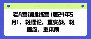 老A营销训练营(更25年8月)，轻理论，重实战，轻概念，重本质-小宇资源站