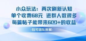 小众玩法再次刷新认知单个收费68米进群人数很多每篇帖子能带来6张的收益-小宇资源站