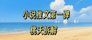 小说推文项目操作全流程第一弹，0粉就能做，门槛低非常适合新手-小宇资源站
