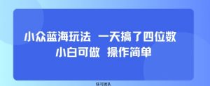 小众蓝海玩法 一天搞了四位数 小白可做 操作简单-小宇资源站