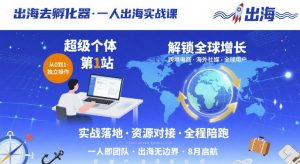 出海去孵化器，一人出海实战课，​超级个体第1站，解锁全球增长-小宇资源站