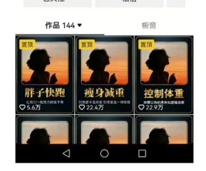 超高变现的短视频减肥细分赛道，减肥账号抖音实战训练营-小宇资源站