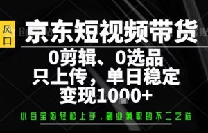 你出账号，我来运营，保底日入1k+，开启躺賺模式【揭秘】-小宇资源站