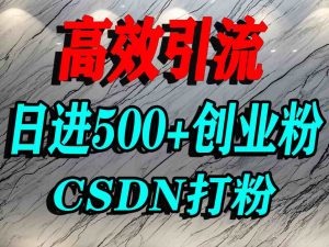 怎么打创业粉？CSDN又一个你不知道的打粉引流神秘平台，单人日引500+精准流量-小宇资源站