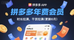 拼多多年费会员，实经验分享操，时长拉满，干货拉满(更新9月)-小宇资源站