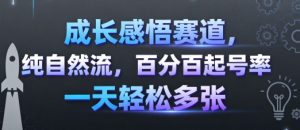 成长感悟赛道，纯自然流，百分百起号率 一天轻松多张-小宇资源站