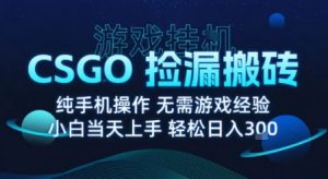 8月最新游戏搬砖,CSGO纯挂G,不需要玩游戏,实现真挂G,月入1W+【揭秘】-小宇资源站