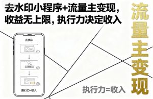去水印小程序+流量主变现，收益无上限，执行力决定收入-小宇资源站