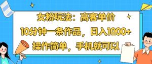女粉玩法：高客单价，10分钟一条作品，日入1k+操作简单，手机就可以-小宇资源站
