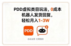 PDD虚拟类目玩法，0成本，机器人发货回复，轻松月入1-3W-小宇资源站