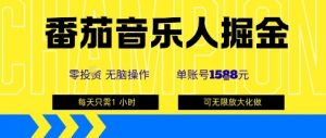 番茄音乐人掘金，单账号最高可撸1k+，可无限矩阵去做，零投入-小宇资源站