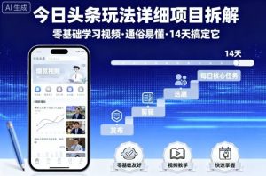 今日头条玩法详细项目拆解,零基础学习视频 通俗易懂 14天搞定它-小宇资源站