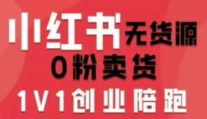 小红书无货源0粉电商课，开店准备、选品策略、笔记撰写、视频剪辑、数据分析、账号打造、资料文档-小宇资源站