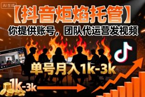 【抖音炬焰托管】你提供账号,团队代运营发视频,单号月入1k+【揭秘】-小宇资源站