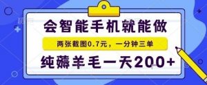 手机项目，二十秒一单，纯薅羊毛一天2张+做就有【揭秘】-小宇资源站