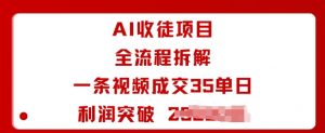 AI收徒项目全流程拆解一条视频成交35单日利润突破1k+-小宇资源站