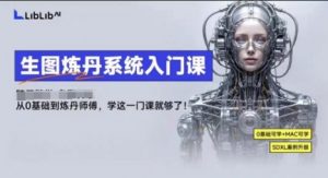 LibLibAI哩布哩布生图炼丹系统入门课，从生图到炼丹，只学这一门就够了-小宇资源站