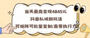 当天最高变现1k+，抖音私域新玩法，可矩阵可批量复制-小宇资源站