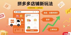 拼多多店铺新玩法,代发供应链上拼玩法-小宇资源站