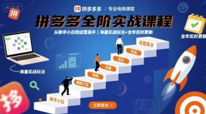 拼多多全阶实战课程，从新手小白到运营高手，海量实战玩法+全年实时更新【2025年9月更新】-小宇资源站