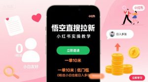 悟空直搜拉新小红书实操教学，一单10米，低门槛，0粉丝小白也能日入多张-小宇资源站