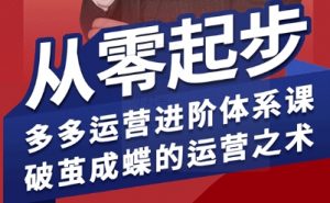 拼多多运营进阶系统课，从零起步，多多运营进阶体系课，破茧成蝶的运营之术（更新9月）-小宇资源站