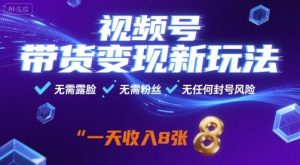 视频号带货变现新玩法，无需露脸，无需粉丝，无任何封号风险，一天收益8张【揭秘】-小宇资源站