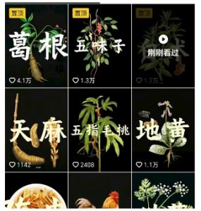 抖音中草药赛道，用AI做中草药故事视频，45条作品涨粉13W，橱窗带货猛猛出单-小宇资源站