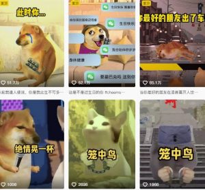 狗头幸运星UE5动画全套课程，从入门到实操全掌握-小宇资源站