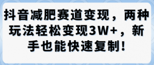 抖音减肥赛道变现,两种玩法轻松变现3W+,新手也能快速复制-小宇资源站